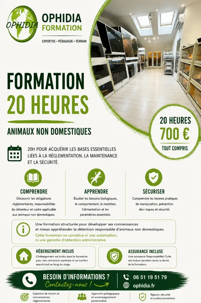 Formation Module 20H
