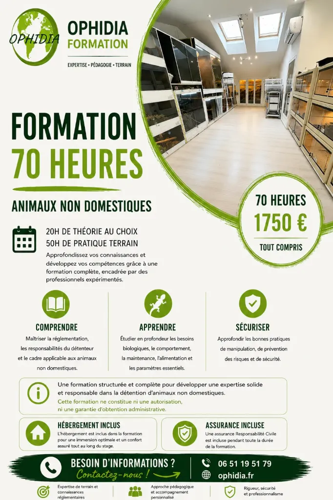 Formation modul 70h