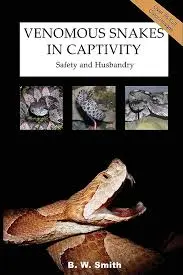 Venemous snake in captivity.